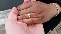 Josh and Jerene, re-proposal, Pioneer Park, Naperville